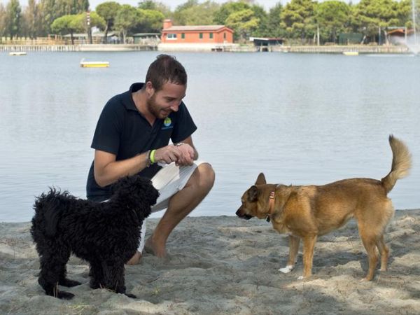 Spiaggia Romea Bau Village - foto 26436.jpg