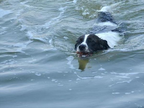 Spiaggia Romea Bau Village - foto 26441.jpg
