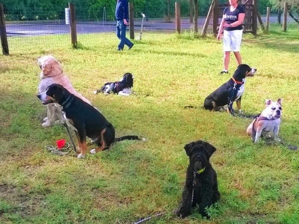 Spiaggia Romea Bau Village - foto 26444.jpg