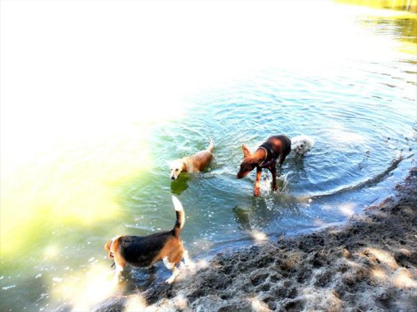 Spiaggia Romea Bau Village - foto 26446.jpg