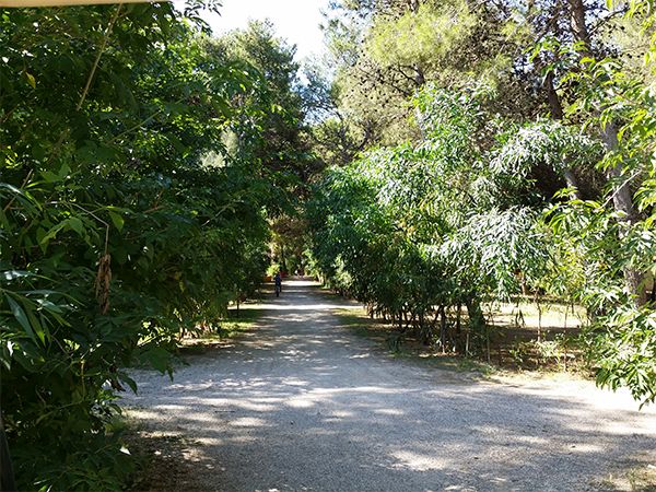 Camping Village Sentinella - foto 26473.jpg