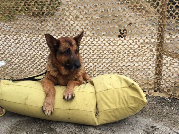 Baba Beach  - foto 26800.jpg