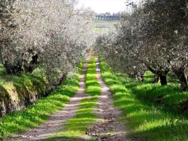 Agriturismo SS Annunziata - foto 26826.jpg