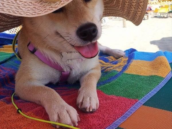 Bagno 84 Graziano Rimini - foto 26885.jpg