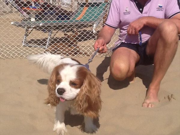 Bagno 84 Graziano Rimini - foto 26886.jpg