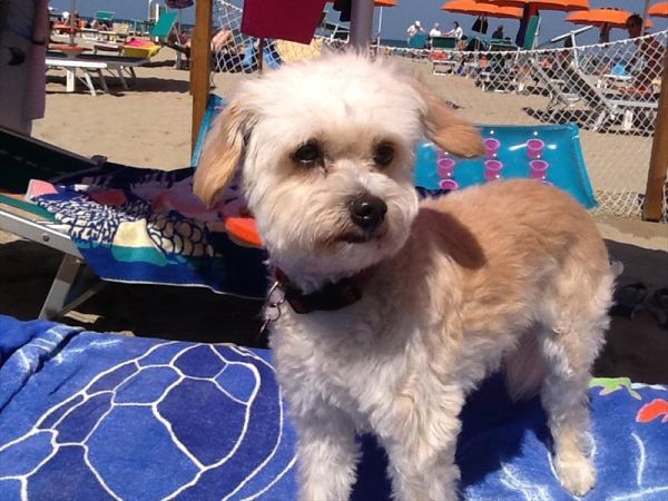 Bagno 84 Graziano Rimini - foto 26890.jpg