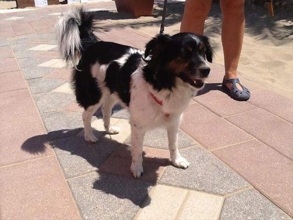 Bagno 84 Graziano Rimini - foto 26893.jpg