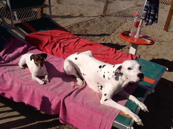 Bagno 84 Graziano Rimini - foto 26895.jpg