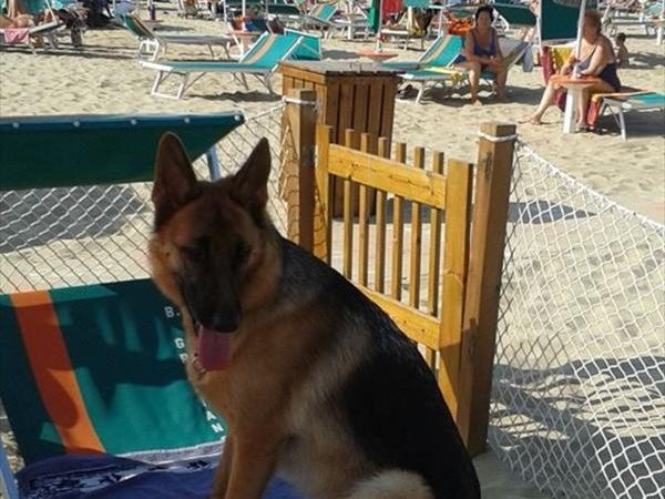 Bagno 84 Graziano Rimini - foto 26896.jpg