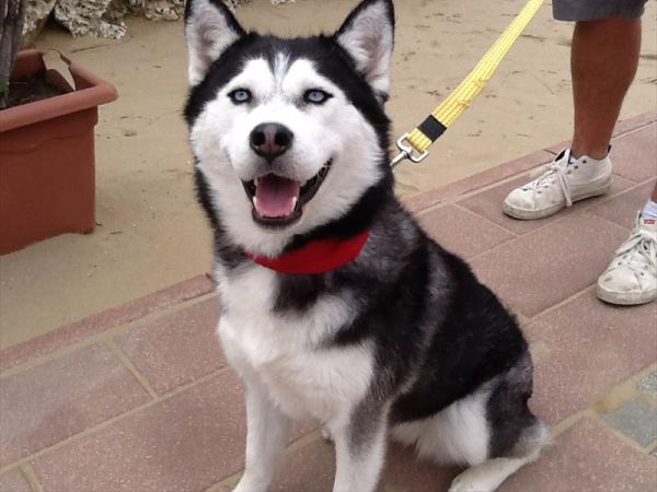 Bagno 84 Graziano Rimini - foto 26898.jpg