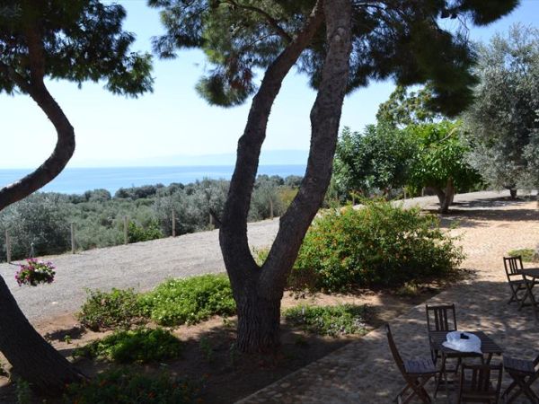 Agriturismo Ulisse e Calipso  - foto 26952.jpg