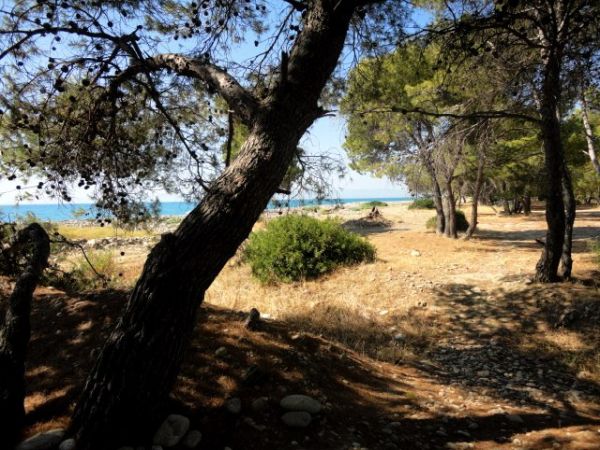 Agriturismo Ulisse e Calipso  - foto 26954.jpg