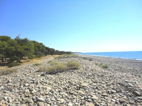 Agriturismo Ulisse e Calipso  - foto 26956.jpg