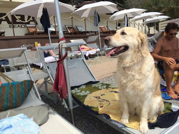 Baba Beach  - foto 27006.jpg