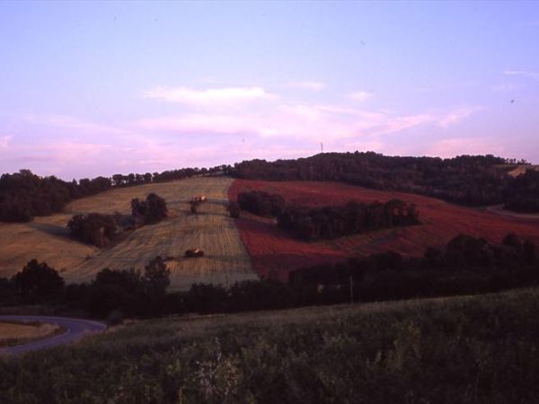 Molino di Molanoce - foto 27146.jpg