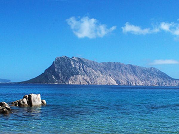 Calacavallo Campeggio Villaggio - foto 27395.jpg