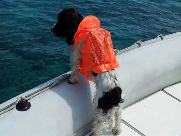 Camping Villaggio lUltima Spiaggia - foto 27444.jpg