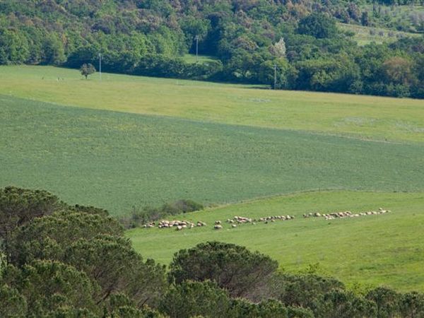 Antico Borgo Poggiarello - foto 27498.jpg