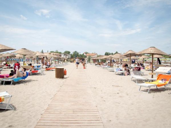 Bagno Tamerici Dog  - foto 27548.jpg