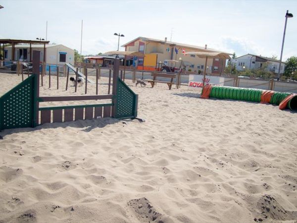 Bagno Tamerici Dog  - foto 27550.jpg