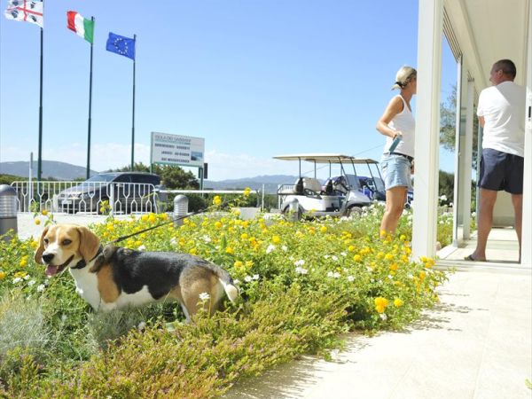 Isola dei Gabbiani - land of water - foto 27553.jpg