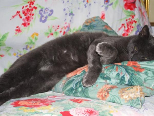 B&B cascina Cin Cin - foto 27716.jpg