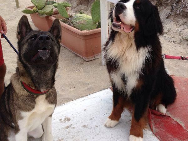 Soleluna Lido Bau Beach  - foto 27783.jpg