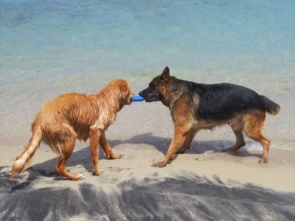 Soleluna Lido Bau Beach  - foto 27784.jpg