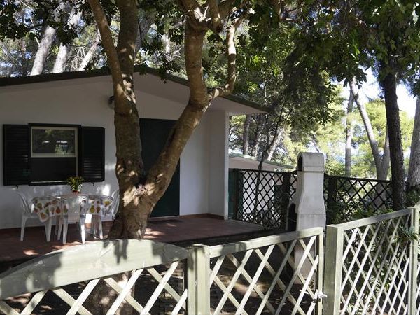 Camping Villaggio Internazionale - foto 27952.jpg