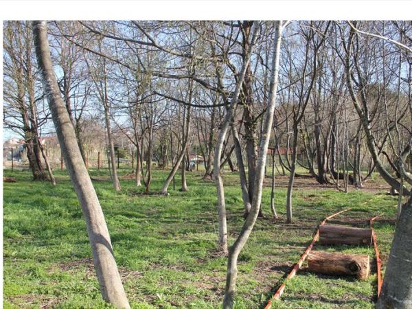 Caravelle Camping Village - foto 28186.jpg