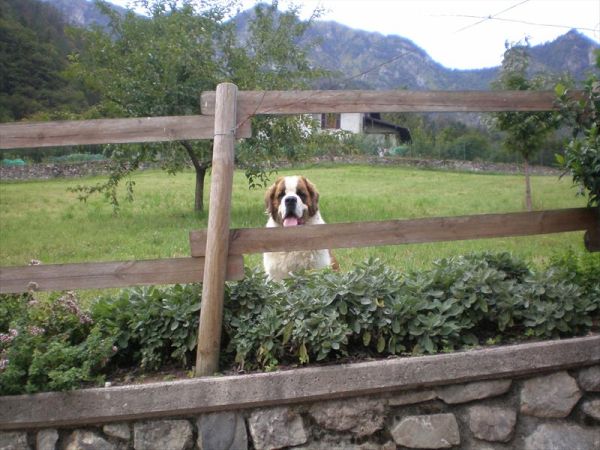 Agriturismo Serec - foto 28242.jpg