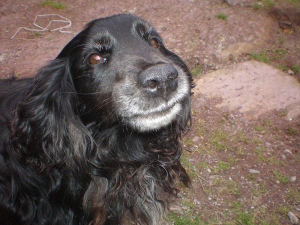 Agriturismo Serec - foto 28254.jpg