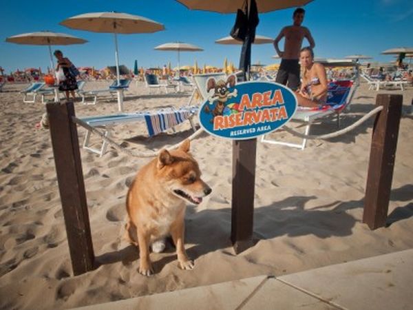 Hotel Corallo Rimini - foto 28433.jpg