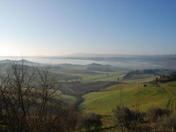 Casa Vacanze gli Oleandri - foto 28482.jpg