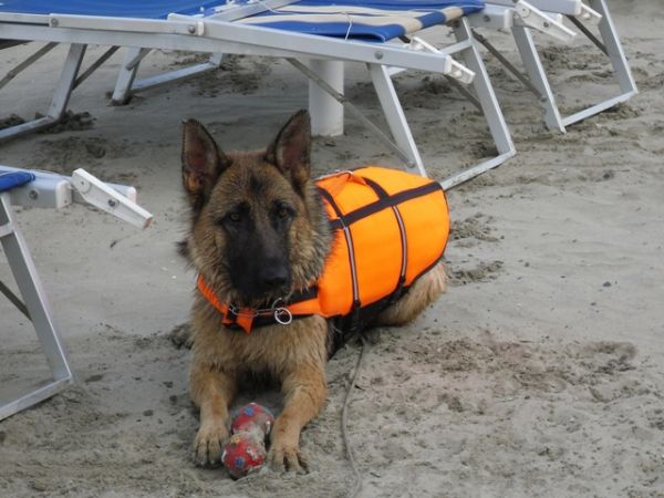 Campeggio Ancora - foto 28704.jpg