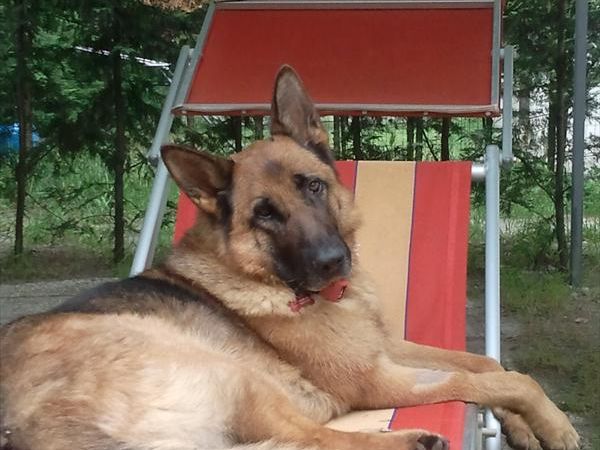 Campeggio Ancora - foto 28706.jpg