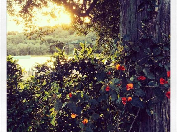 Dolce Vita - foto 28744.jpg