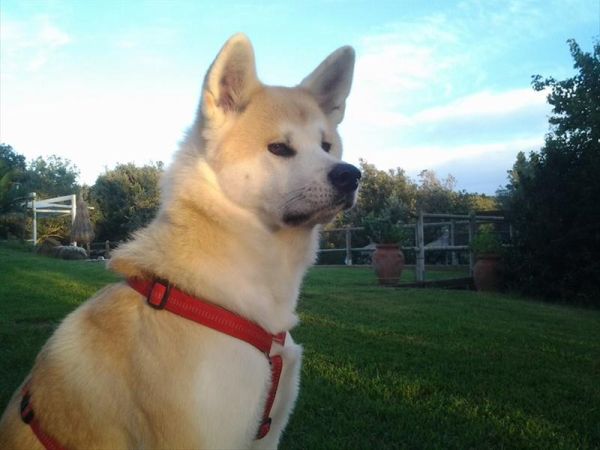 Agriturismo Serraiola Alta - foto 28792.jpg