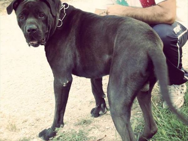 Cluana Azienda Agrituristica - foto 28927.jpg