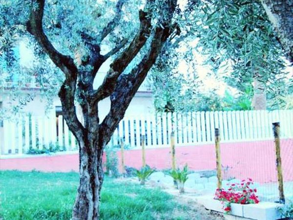 Cluana Azienda Agrituristica - foto 28928.jpg