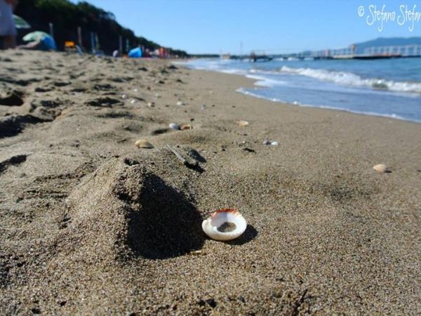 Residence Casale Voltoncino - foto 29002.jpg