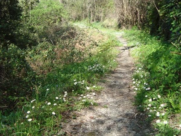 Hotel Pensione Silvia - foto 29020.jpg