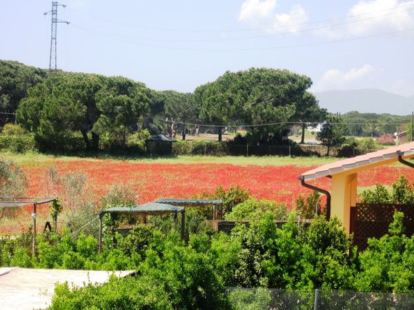 Agriturismo le Pignacce - foto 29088.jpg