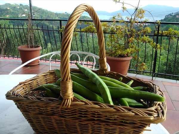 Agriturismo ristorante Oliva Azzurra - foto 29151.jpg