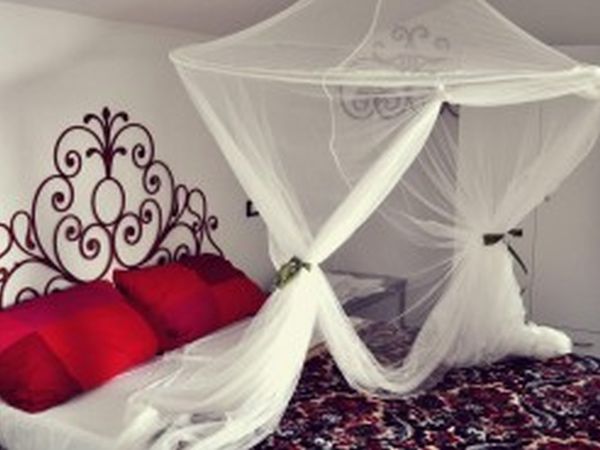 Agriturismo ristorante Oliva Azzurra - foto 29154.jpg