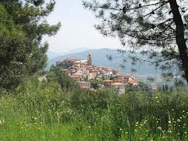 Agriturismo ristorante Oliva Azzurra - foto 29162.jpg