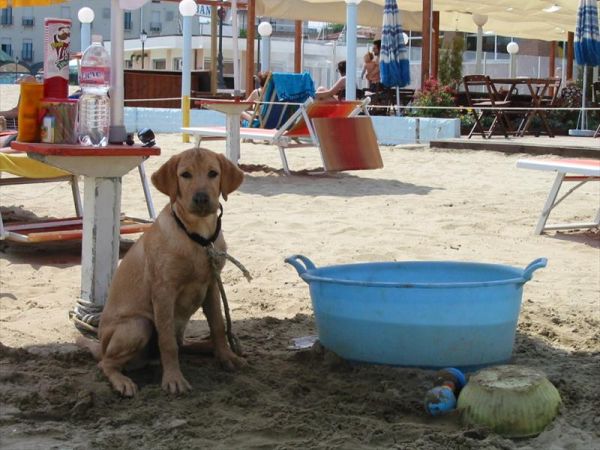 Bagno Wanda - foto 29249.jpg