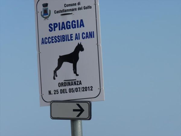 Go to Sicily - foto 29298.jpg