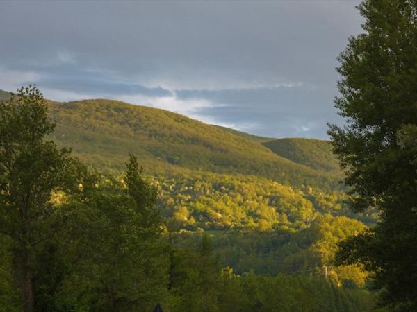 Agriturismo Ca bianca - foto 29311.jpg