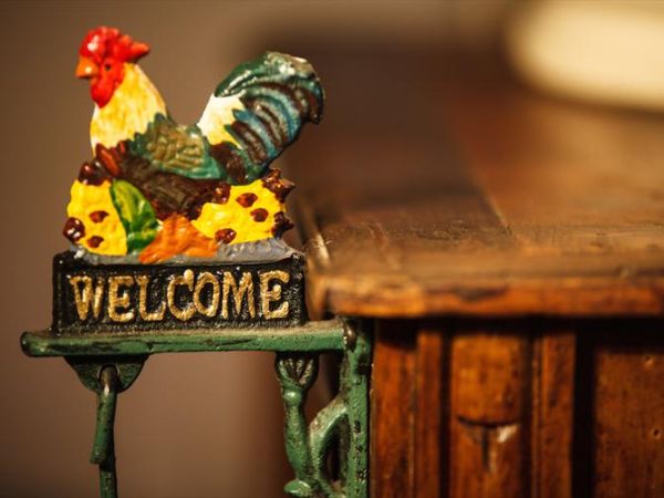 Agriturismo Ca bianca - foto 29315.jpg